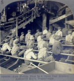 Coal Miners from Shenandoah - Circa 1920`s