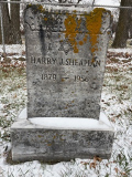 IMG_0032-harry-sheaman-section-c-location-approx-f10